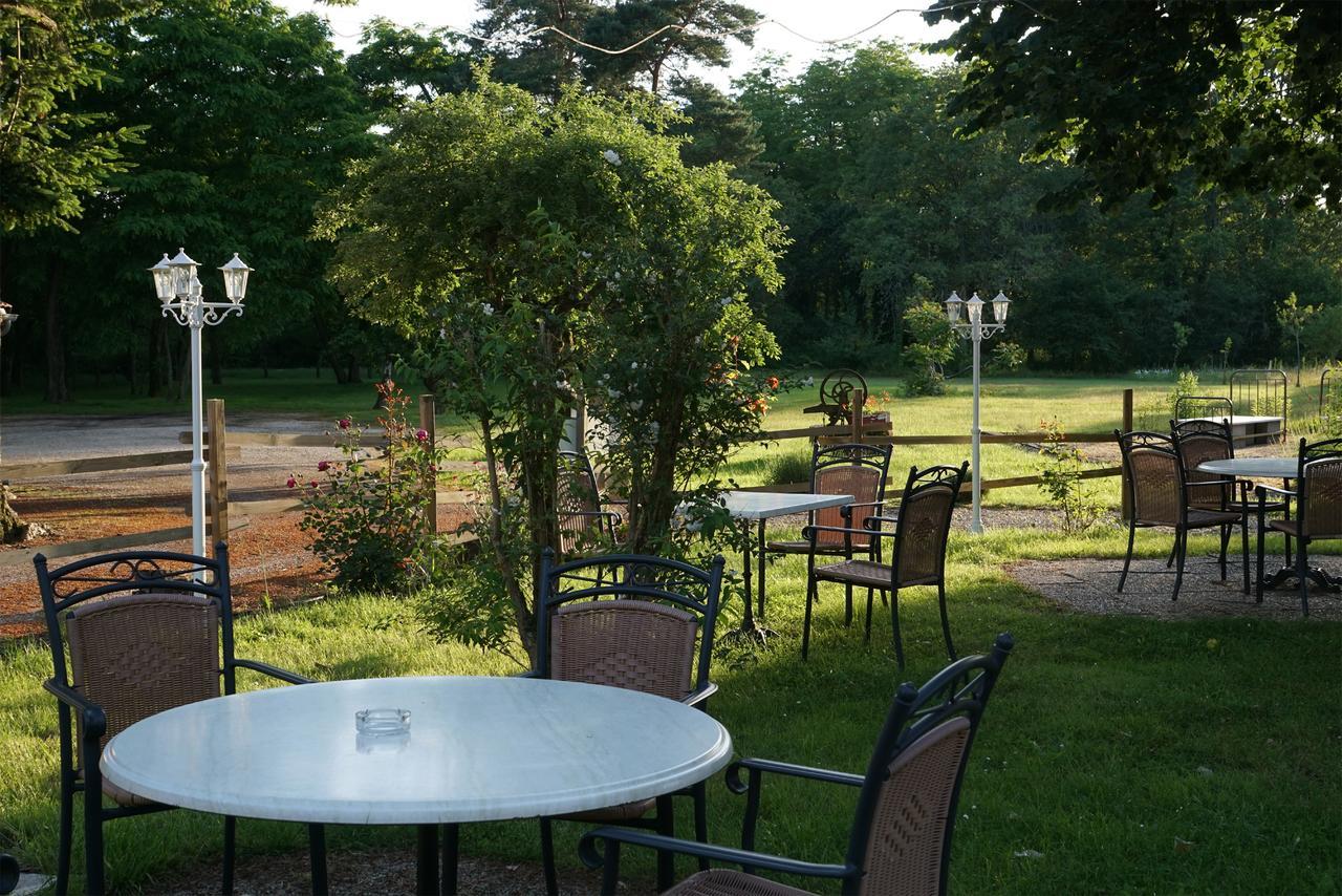 Hôtel Restaurant La Sauldraie Salbris Extérieur photo