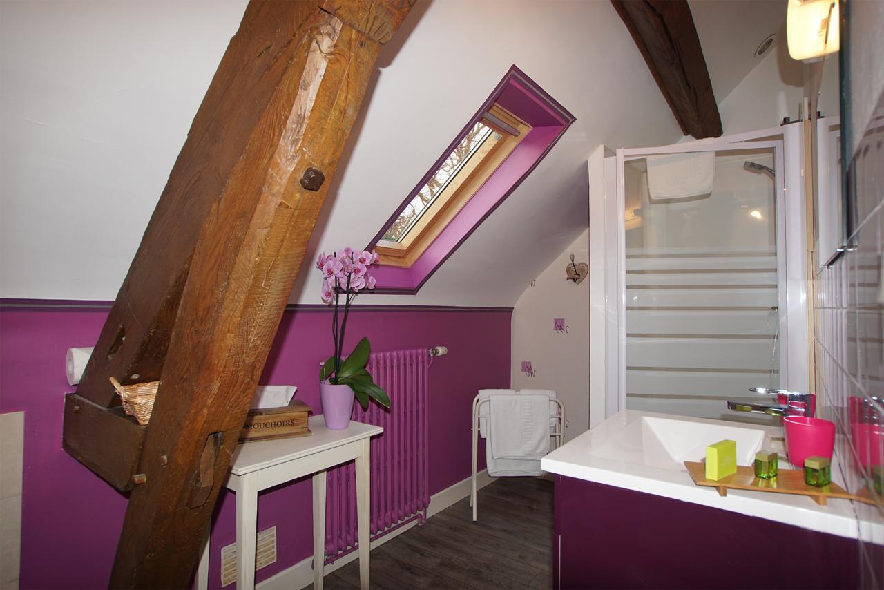 Hôtel Restaurant La Sauldraie Salbris Extérieur photo